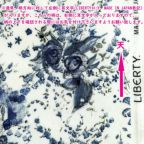 ���̑��̉摜