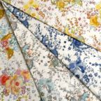 ���̑��̉摜