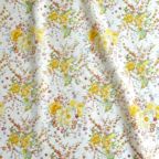 ���̑��̉摜