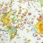 ���̑��̉摜