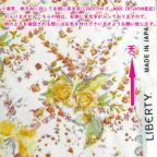 ���̑��̉摜