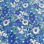 ���̑��̉摜