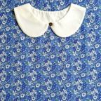 ���̑��̉摜