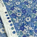 ���̑��̉摜