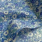 ���̑��̉摜