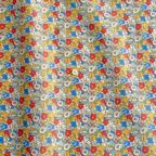 ���̑��̉摜