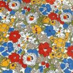 ���̑��̉摜