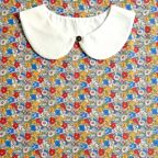 ���̑��̉摜