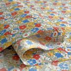 ���̑��̉摜