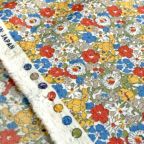 ���̑��̉摜