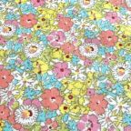 ���̑��̉摜