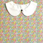 ���̑��̉摜