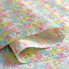 ���̑��̉摜