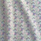 ���̑��̉摜