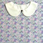 ���̑��̉摜