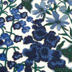 �J���[�o���G�[�V����