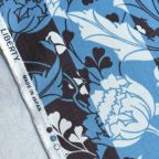 ���̑��̉摜