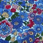 ���̑��̉摜