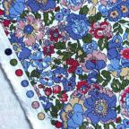 ���̑��̉摜