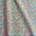 ���̑��̉摜