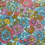 ���̑��̉摜