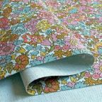 ���̑��̉摜