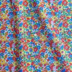 ���̑��̉摜