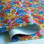 ���̑��̉摜