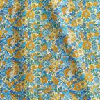 ���̑��̉摜