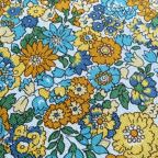 ���̑��̉摜