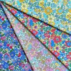 ���̑��̉摜