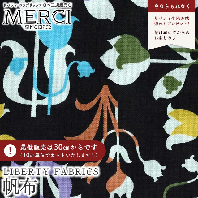 ���̑��̉摜