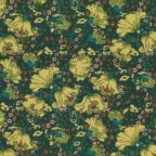 ���̑��̉摜