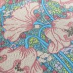 ���̑��̉摜