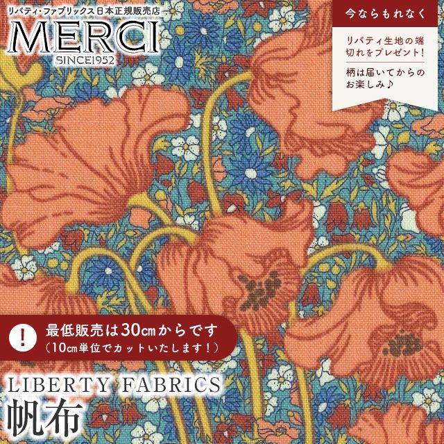 ���̑��̉摜