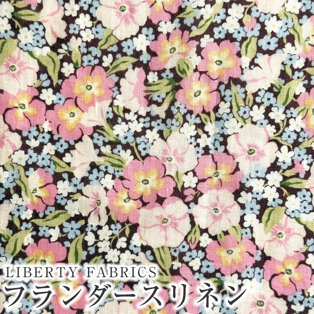 ���̑��̉摜