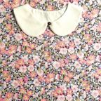 ���̑��̉摜