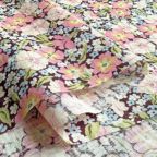 ���̑��̉摜