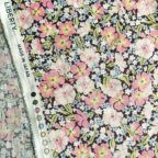 ���̑��̉摜