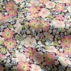 ���̑��̉摜