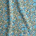 ���̑��̉摜