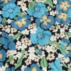 ���̑��̉摜