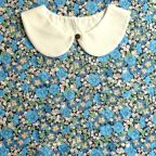 ���̑��̉摜