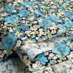 ���̑��̉摜