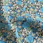 ���̑��̉摜