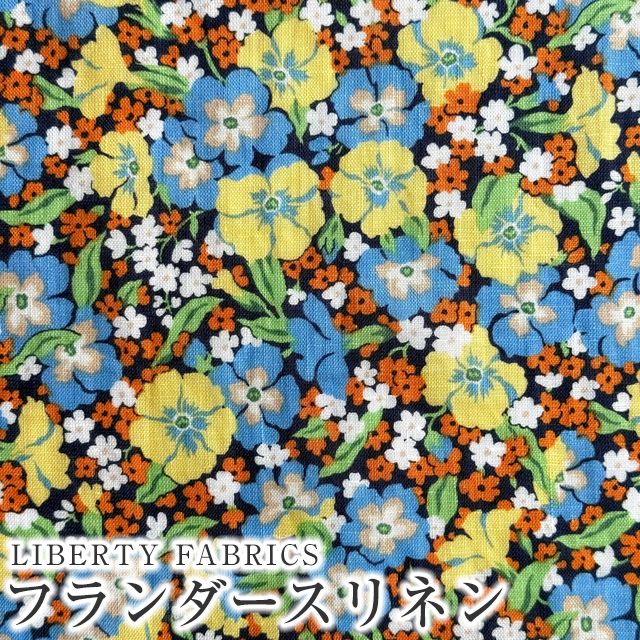 ���̑��̉摜