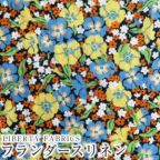 ���̑��̉摜