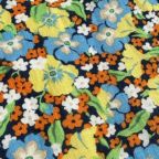 ���̑��̉摜