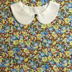 ���̑��̉摜