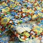 ���̑��̉摜